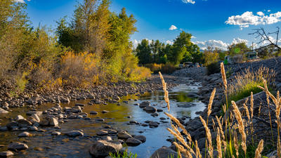 Photographer Jared Kail City Park 21