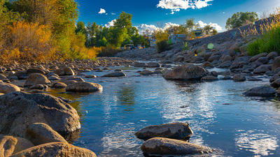 Photographer Jared Kail City Park 22