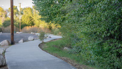 Photographer Jared Kail City Park 24